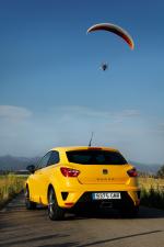 Seat Ibiza Cupra 2009 года